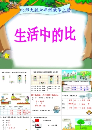 生活中的比 (2)