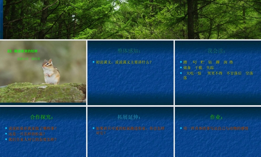 跑进家来的松鼠演示文稿