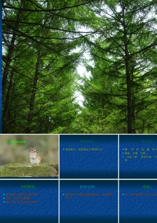 跑进家来的松鼠演示文稿