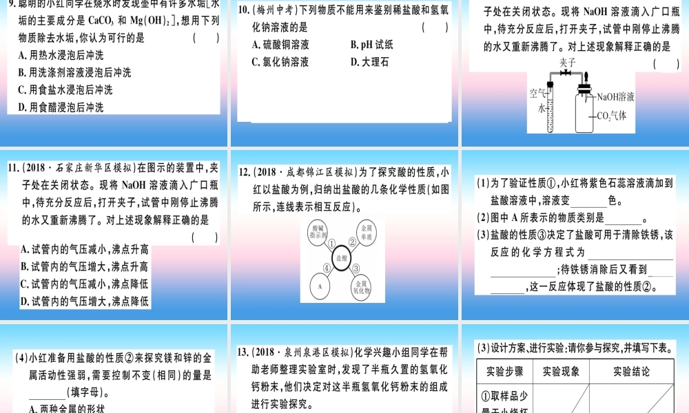 九年级化学下册 第十单元 酸和碱 实验活动6 酸、碱的化学性质习题课件 新人教版 课件