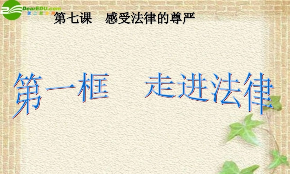 七年级思想品德下册 第7课走进法律竞赛课件 人教新课标版 课件