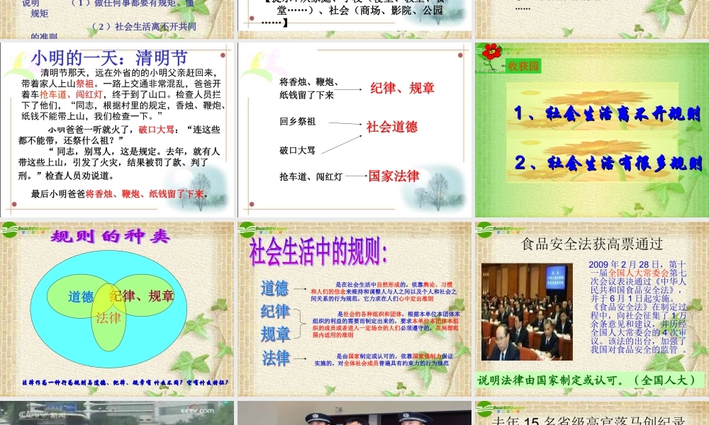 七年级思想品德下册 第7课走进法律竞赛课件 人教新课标版 课件