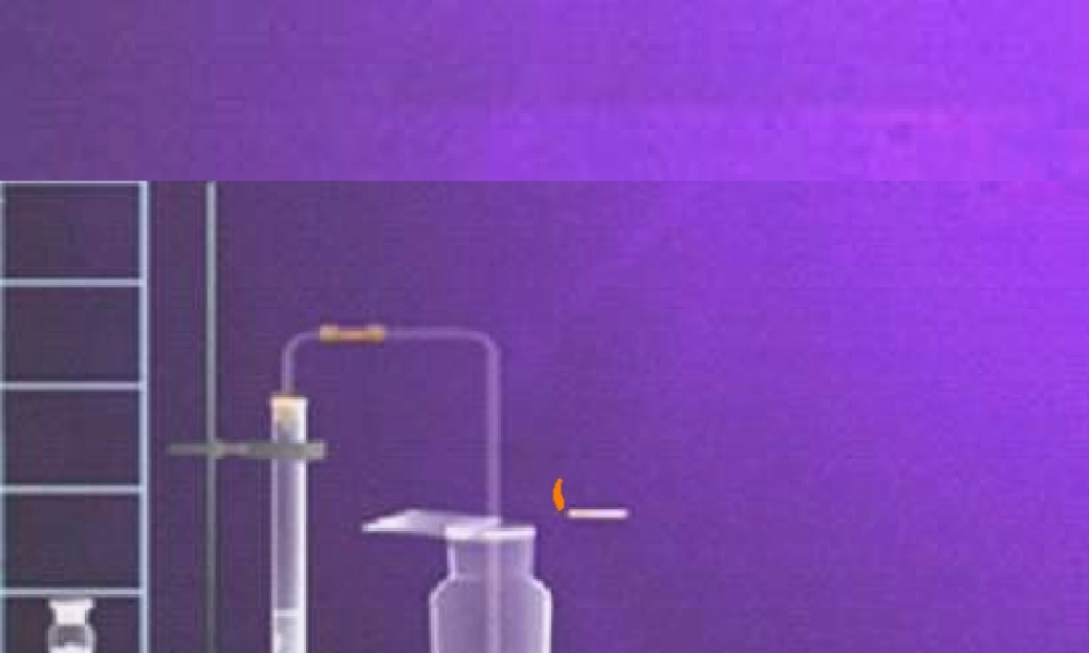 九年级化学上册 53 二氧化碳的性质和制法课件 (新版)粤教版 课件