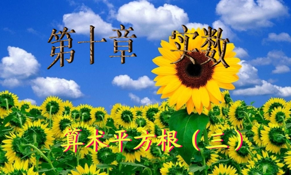 10.1.1 算术平方根(3) 广东省七年级数学下学期(第十章 实数)全套课件