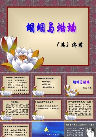 (外国诗两首)课件1 九年级语文上册第一单元(外国诗两首)课件6套人教版