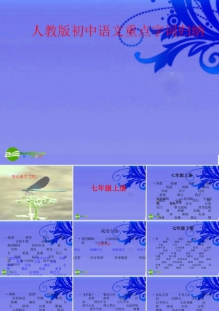 中考语文复习 重点字词归纳课件 人教新课标版0 课件