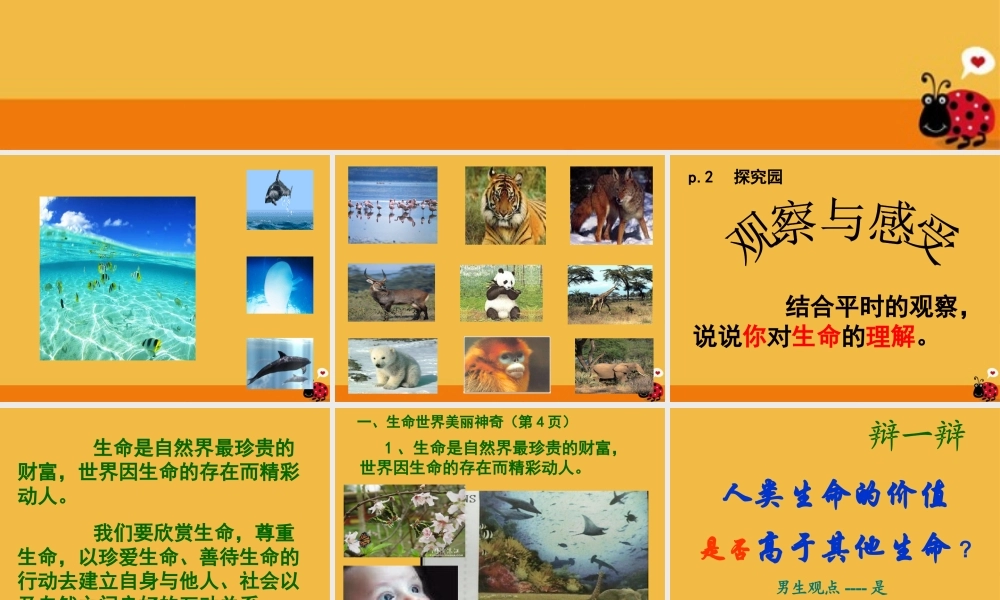 七年级政治下册 第五单元生命宝贵课件 粤教版 课件