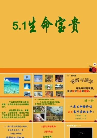 七年级政治下册 第五单元生命宝贵课件 粤教版 课件