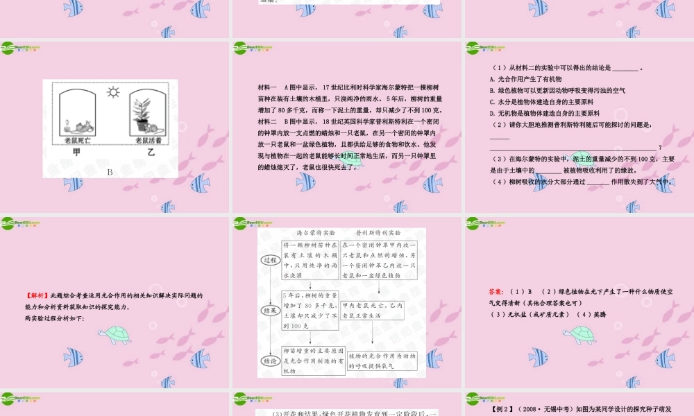 中考生物学业水平考试专题复习 专题二丰富多彩的生物世界课件