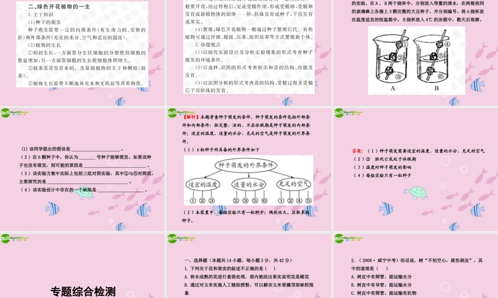 中考生物学业水平考试专题复习 专题二丰富多彩的生物世界课件