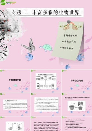 中考生物学业水平考试专题复习 专题二丰富多彩的生物世界课件