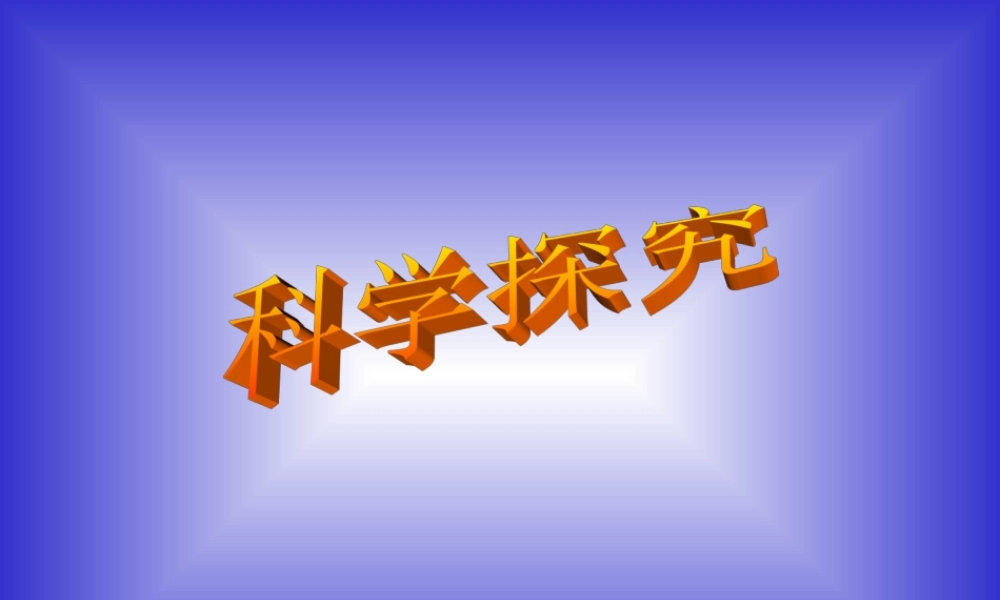 九年级化学复习 科学探究 课件