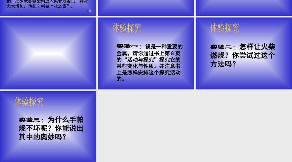 九年级化学复习 科学探究 课件