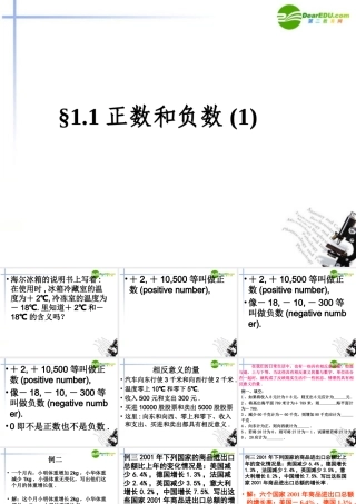 七年级数学上册 1.1 正数和负数课件(3) 人教新课标 课件