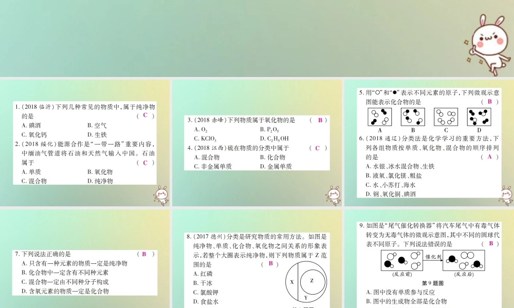 九年级化学上册 小专题5 物质的简单分类课件 (新版)新人教版 课件