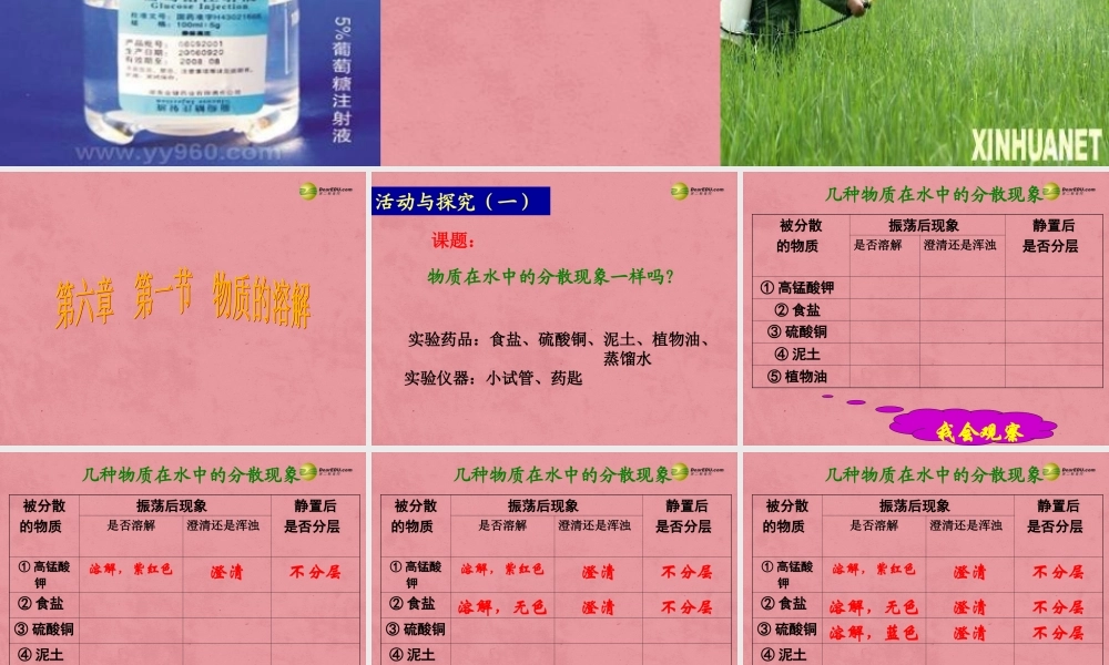 九年级化学全册 6-1 物质的溶解课件 (新版)沪教版 课件