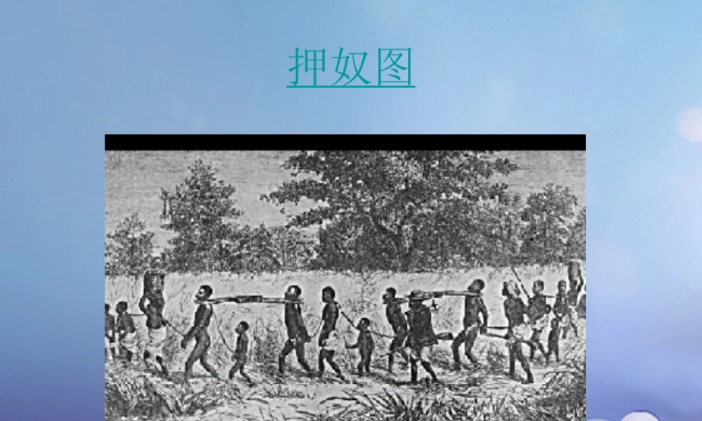 九年级历史上册 321 追(根)溯 园 走进美国黑奴的生存空间 学习与探究之三图片素材 北师大版 素材