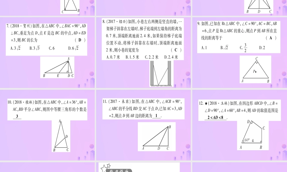 (云南专用)中考数学 第一轮 考点系统复习 第4章 三角形 第3节 等腰三角形与直角三角形作业课件