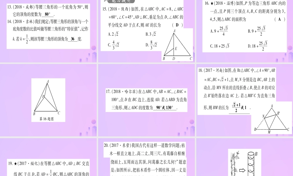 (云南专用)中考数学 第一轮 考点系统复习 第4章 三角形 第3节 等腰三角形与直角三角形作业课件