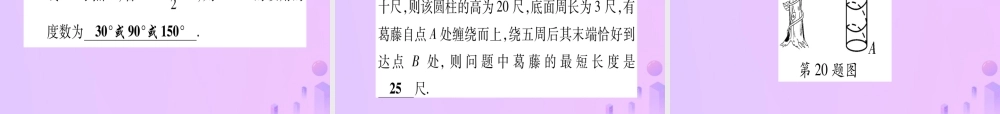 (云南专用)中考数学 第一轮 考点系统复习 第4章 三角形 第3节 等腰三角形与直角三角形作业课件