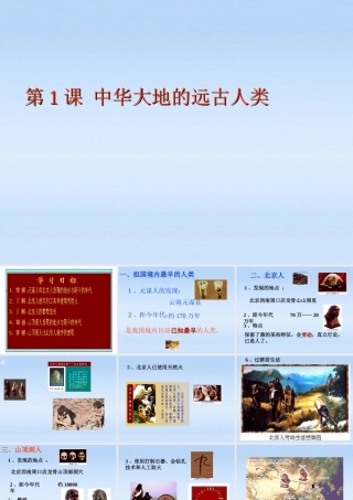 七年级历史上册 第1课中华大地的远古人类课件 北师大版 课件