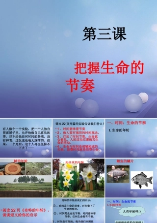 (秋季版)七年级道德与法治上册 第一单元 走进新天地 第三课 把握生命的节奏课件 人民版 课件
