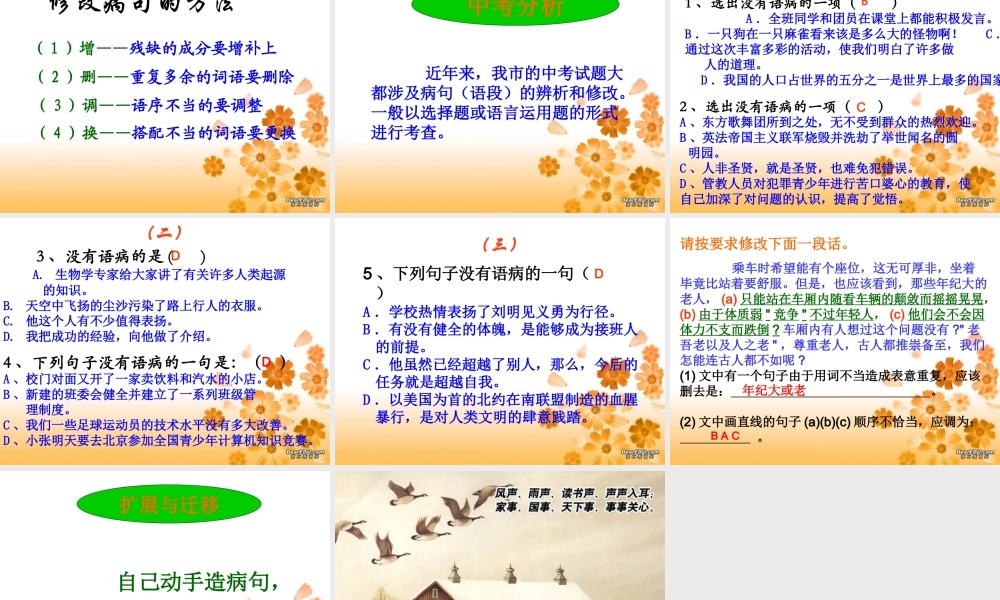 中考语文病句修改专题复习课件