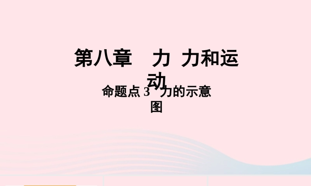 中考物理一轮复习 基础考点一遍过 第八章 力 第九章 力与运动 命题点3 力的示意图课件