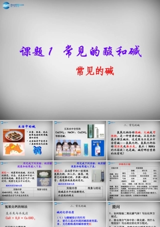 九年级化学下册 第10单元 课题1 常见的酸和碱课件2 (新版)新人教版 课件