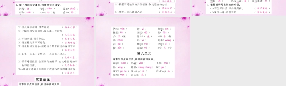 中考语文 第一轮 复习教材 夯基固本 八上 语音、汉字、词语梳理课件 新人教版 课件