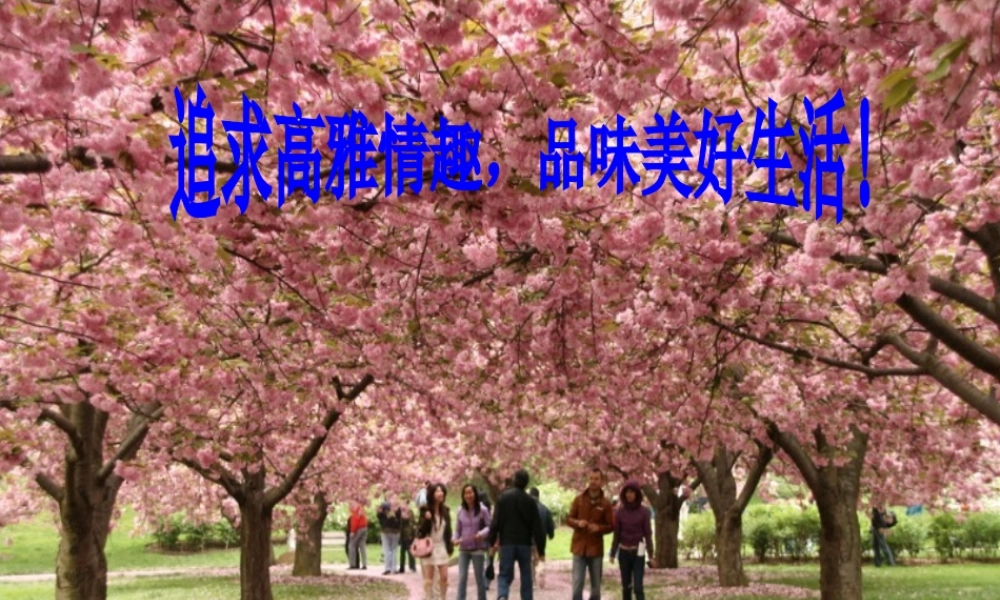 七年级政治下册 第十四课(追求高雅情趣 品味美好生活)课件 鲁教版 课件