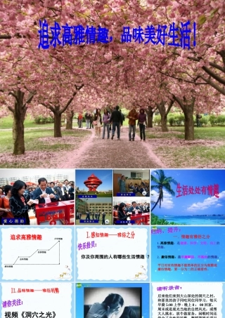 七年级政治下册 第十四课(追求高雅情趣 品味美好生活)课件 鲁教版 课件