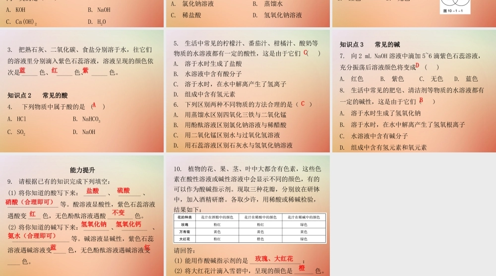 九年级化学下册 第十单元 酸和碱 课题1 常见的酸和碱 课时1 酸与碱的认识(内文)课件 (新版)新人教版 课件
