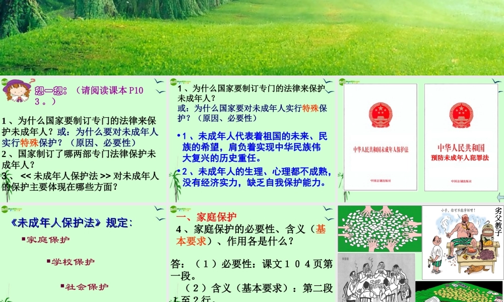 七年级政治上册 第八课第一框(特殊的保护 特殊的爱)课件 人教新课标版 课件