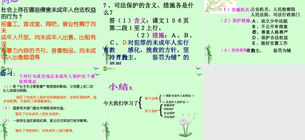 七年级政治上册 第八课第一框(特殊的保护 特殊的爱)课件 人教新课标版 课件