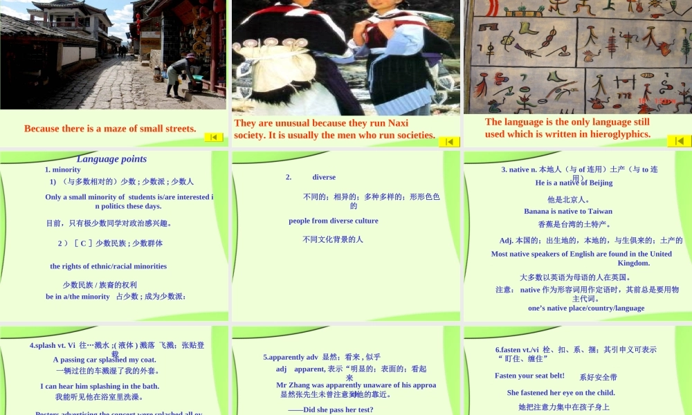 Module 5 Ethnic Culture-language points[TY]ppt 新课标外研英语选修七全部课件二