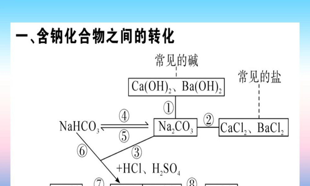 九年级化学下册 第十一单元 盐 化肥 化学方程式梳理习题课件 新人教版 课件