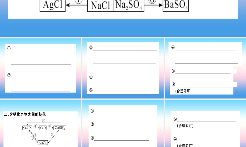 九年级化学下册 第十一单元 盐 化肥 化学方程式梳理习题课件 新人教版 课件