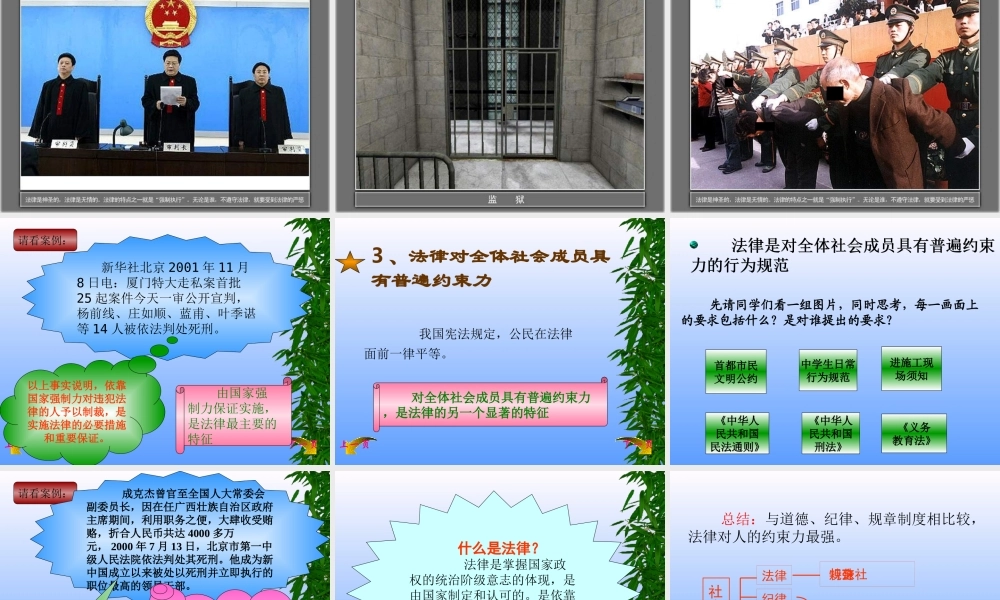 七年级政治法律初探 七年级政治下：第八课 法律护我成长 课件人教版新课标