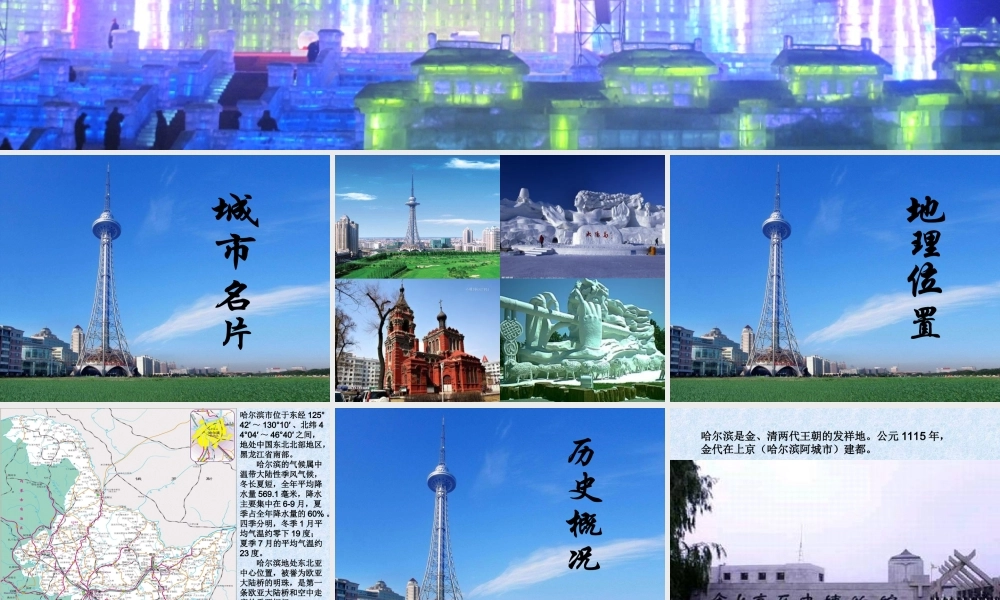 美丽的哈尔滨（王向华）