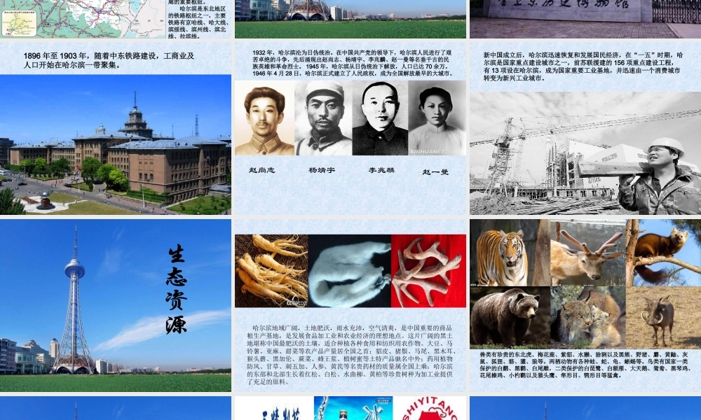 美丽的哈尔滨（王向华）