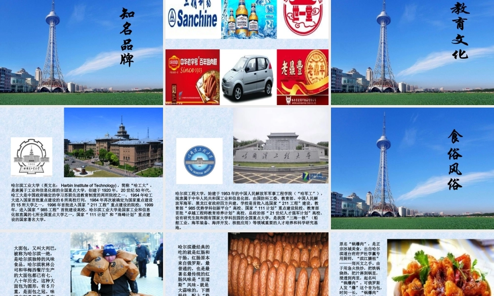 美丽的哈尔滨（王向华）