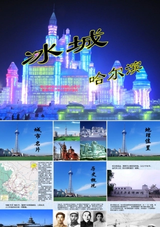 美丽的哈尔滨（王向华）