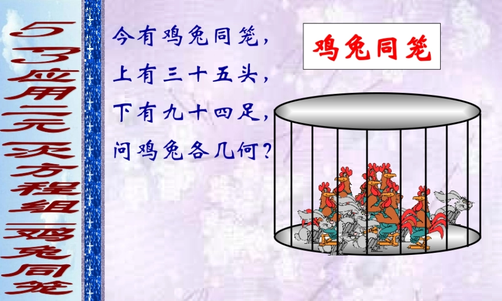 应用二元一次方程组鸡兔同笼