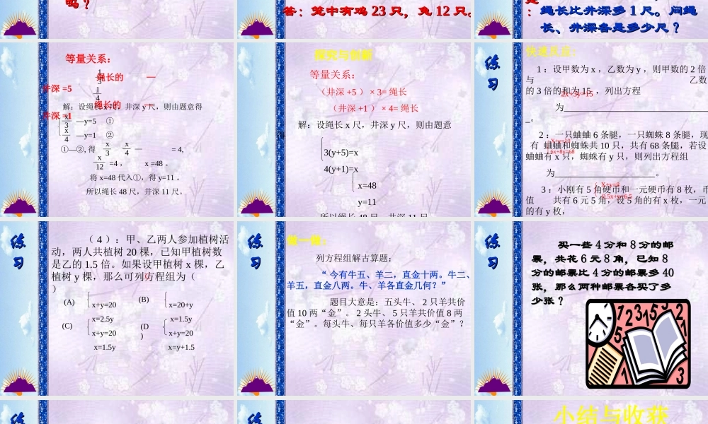 应用二元一次方程组鸡兔同笼