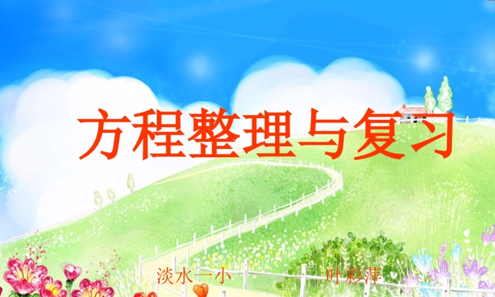 方程的整理与复习