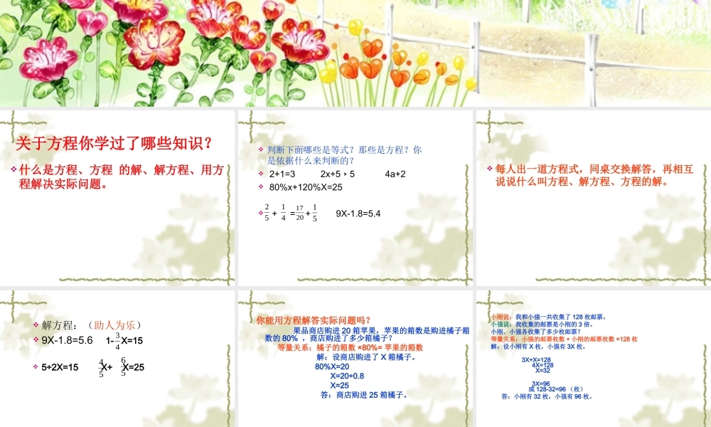 方程的整理与复习