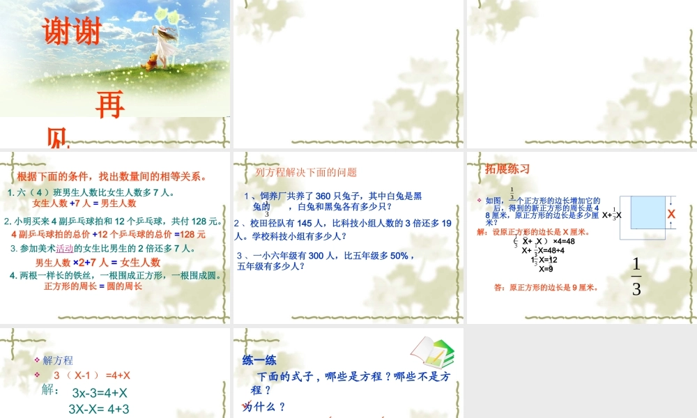 方程的整理与复习