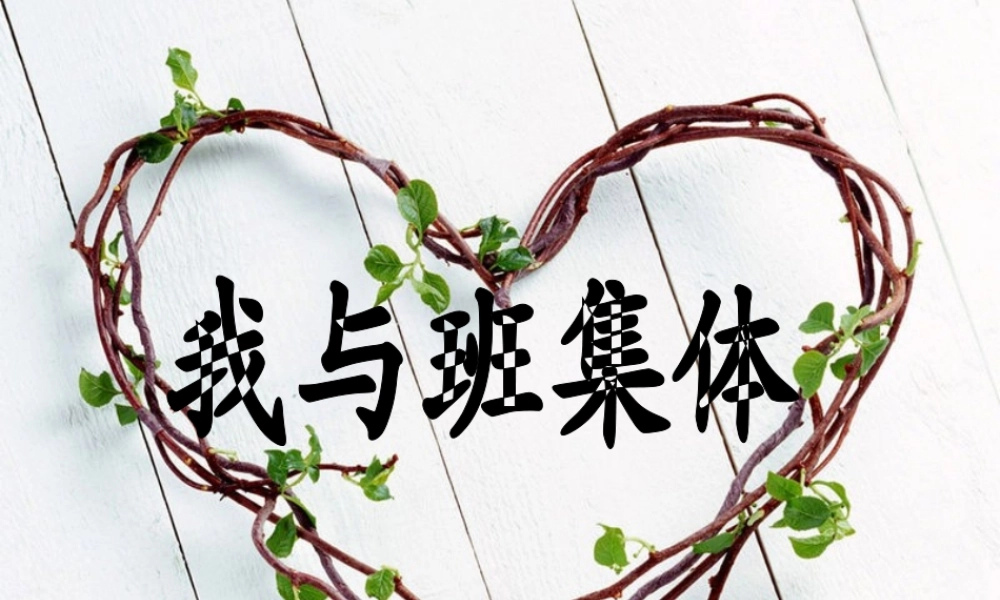 班我与班集体主题班会