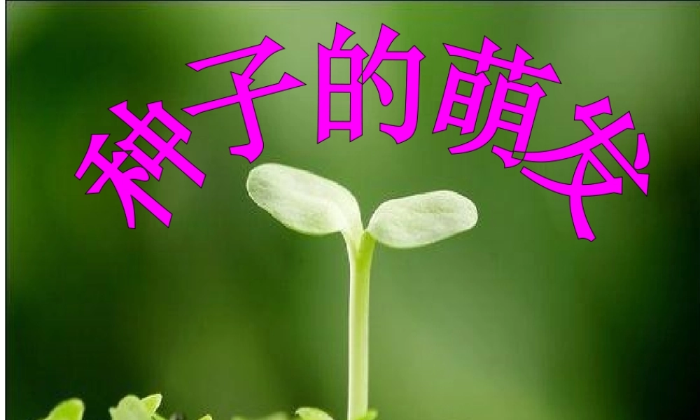 教科版四下2-5种子的萌发过程